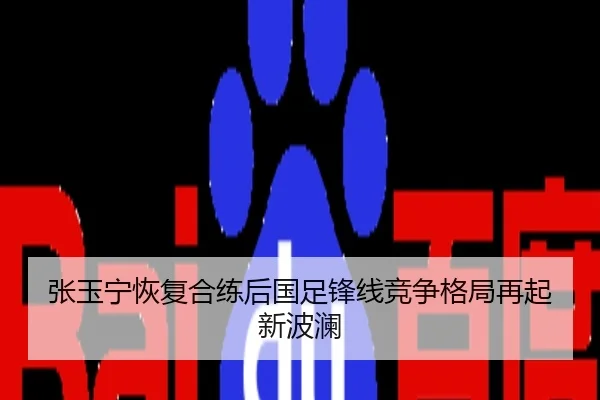 张玉宁恢复合练后国足锋线竞争格局再起新波澜